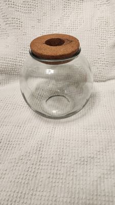 Glass round aquarium for BETA FISH