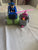 Paw patrol Chase and Skye truck and helicopter