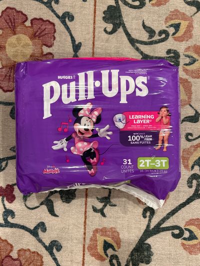 Pull Ups New Minnie 2T 3T