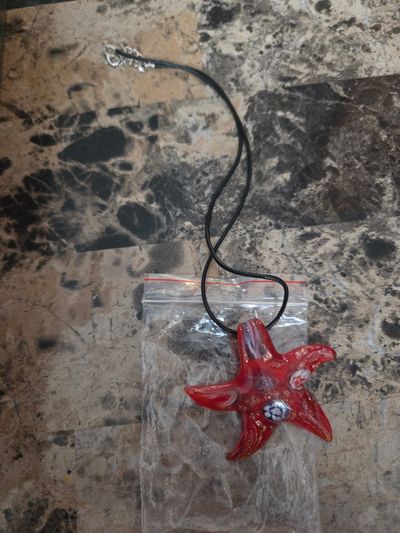 brand New starfish stoned pendant necklace