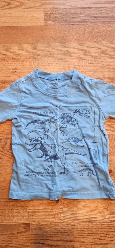 Carter's Like new dinosaur graphic tshirt 2T