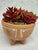 Faux Cactus in pot with face and legs. So cute Faux Cactus in pot with face and legs. So cute
