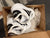 Adidas White and black adidas toddler sneakers w/velcro barely worn!!!! 6 (Toddler)