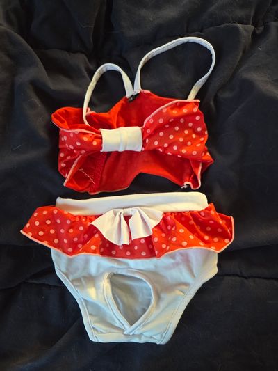 Dog Bathing Suit size Medium
