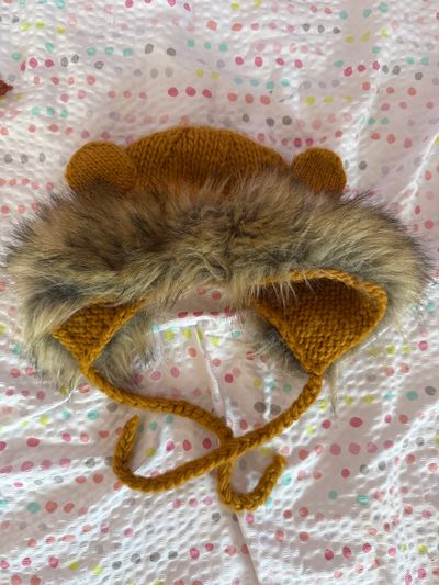 Blueberry hill Winter hat