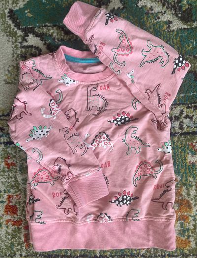 Pink dinosaur sweatshirt Says 4t but fits like 3t. SFPF home 3T