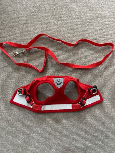 NEW NEW Walk in Harness and 4 ft Leash XS Red