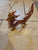 Wire Chinese Dragon