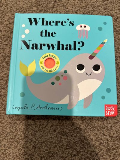 Where is the Narwhal Felt flaps and mirror