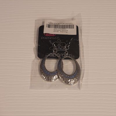 Paparazzi Silver Earrings Hook