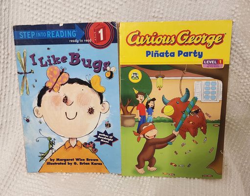 LEVEL 1 SCHOLASTIC BOOKS