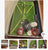 : Brand new ultimate golf training kit, high retai