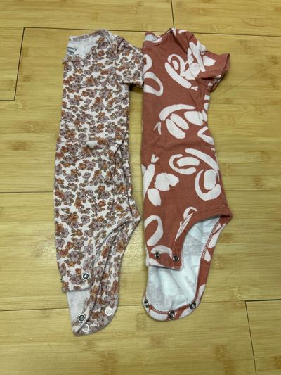 Carters Set of two short sleeve onesies 12-18 Months