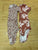 Carters Set of two short sleeve onesies 12-18 Months