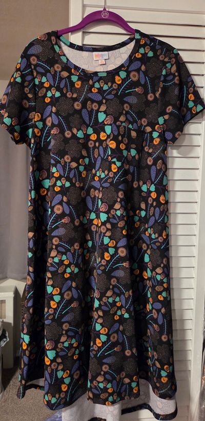 Lularoe Carly dress Runs big! Women's - XS