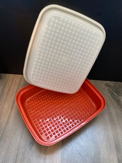 Tupperware meat storage container 12 inches by 10 inches