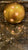 Most Cherished Moments Golden Starlight Celebrating Life