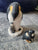 Penguin couples fragile gifts