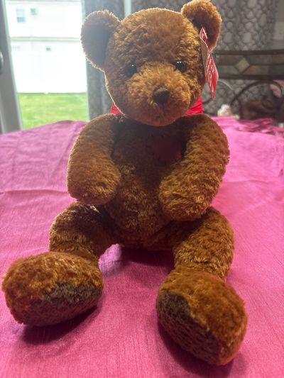 Gund brown bear with heart on chest About 8inches sitting