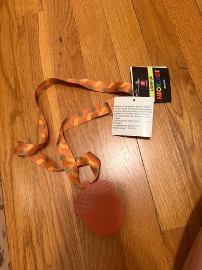 Target New- Acorn light up necklace