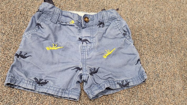 Carter's summer shorts with adjustable waist band 18 Months