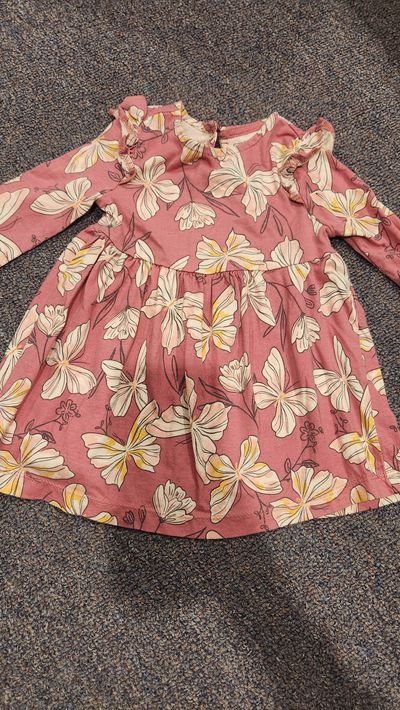 Car Pink floral dress long sleeve 9 Months