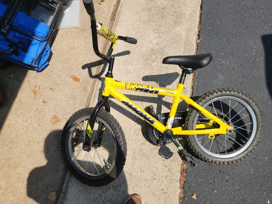 Dynacraft amazon 16inch  good condition orig $95