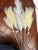 Brand New 5 pieces of faux pampas grass Brand New 5 pieces of faux pampas grass