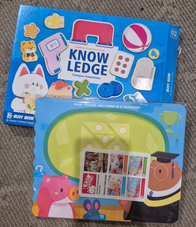 Busy Book #2 Campus Awareness Numbers MathAge 3+ Brand New