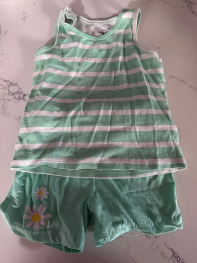 Pink velvet Green short set 5T