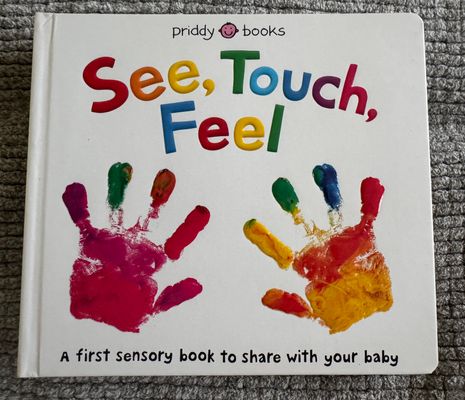 Priddy Books NEW- See Touch Feel