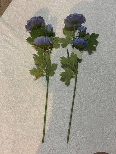 Brand New Bundles of Flowers Brand New Bundles of Flowers