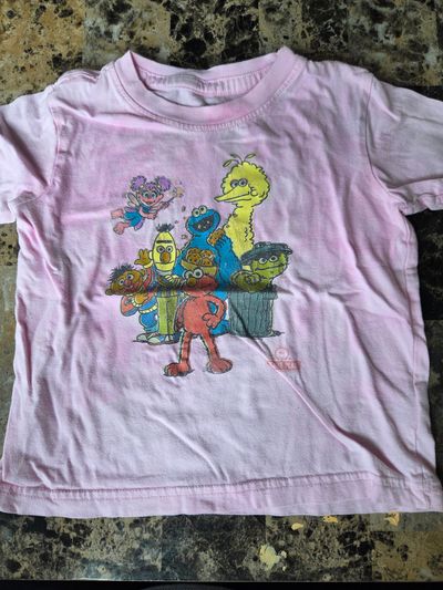Sesame Place short sleeved shirt  24 Months