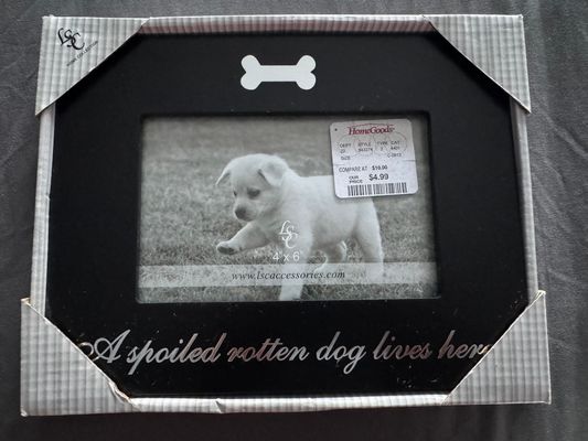 Home Collection NEW-  4x6 Spoiled Rotten Dog Lives Here Frame