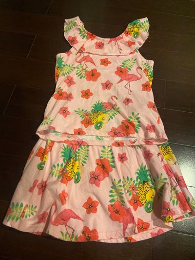 The Childrens place 5T two piece pink skirt set 5T