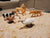 8 mini farm and Safri animal 8 mini farm and Safri animal