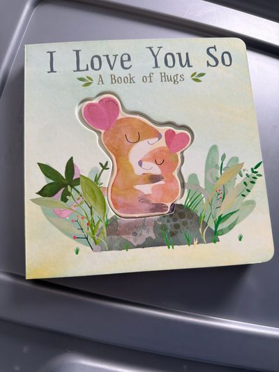 Never Read I Love You So Board Book $8 retail