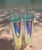 2 Pack Holographic Green Party Water Bottle new, never used