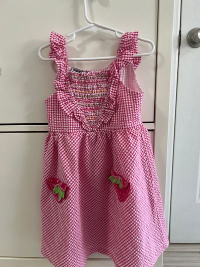 Blueber boulvard Pink cute dress 6T/6