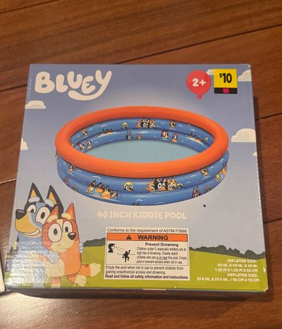 Brand new Bluey pool