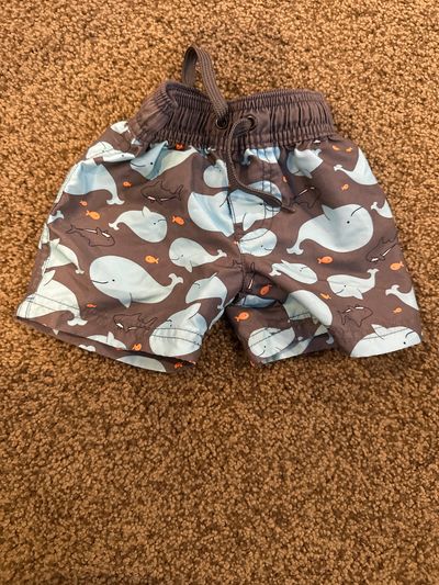 Simple joys 9 month boys bathing suit bottoms  6-9 Months