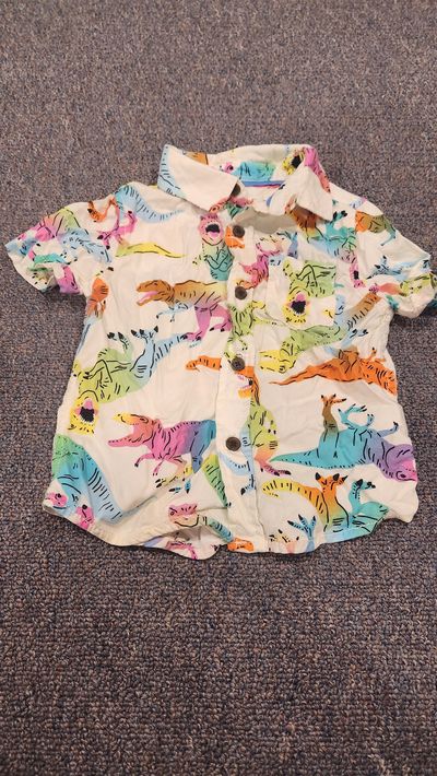 Cat and Jack Summer dinosaurs button doen shirt 2T