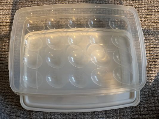 Storage Cantainer Deviled Egg Storage Cantainer w/ Lid