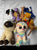 TY Beanie Babies. Lot of 8. Excellent condition TY Beanie Babies. Lot of 8. Excellent condition but no tags.