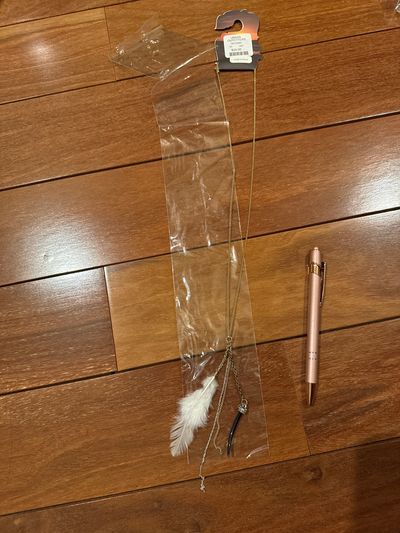 Brand new from urban outfitters $24 long necklace Pen to show size