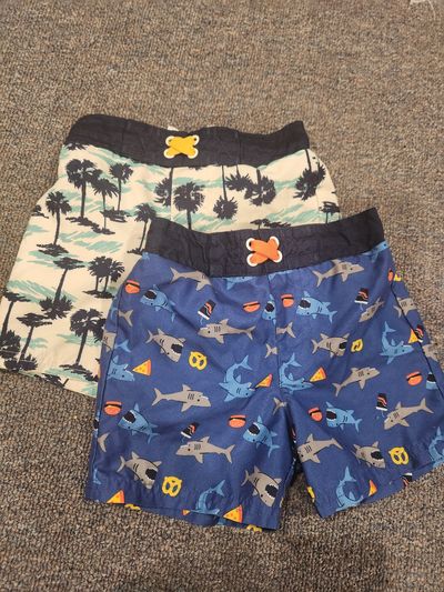 Cat & Jack Bundle of 2 swim trunks 2T