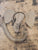 Elephant nose ears and tail Boy or girl