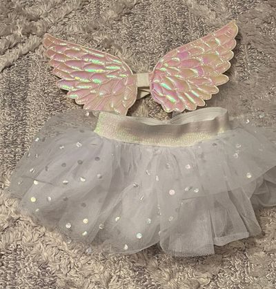 Angel costume Tutu and wings. Great for baby pictures! Size 12 months.