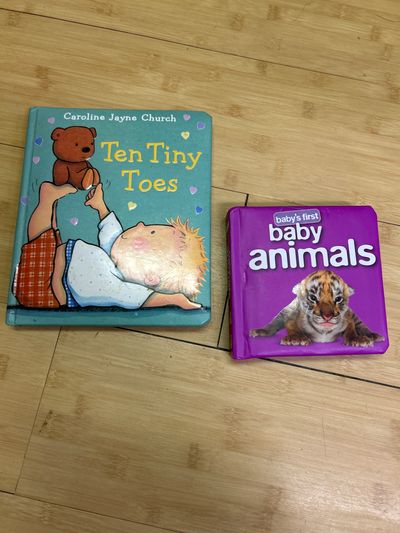 Assorted Set of 2 Board Books