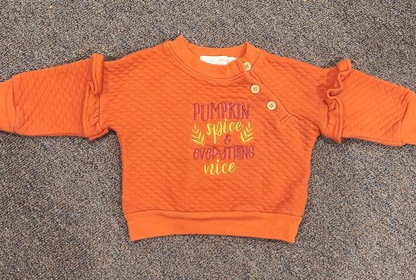 Catherine Malandrino baby Pumpkin spice and everything nice sweatshirt 6-9 Months